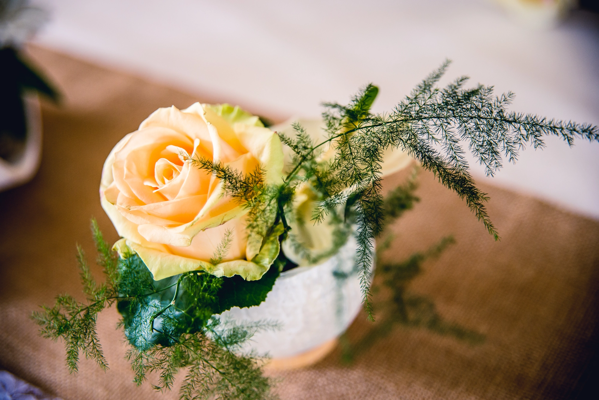 Mariage Jade et Quentin